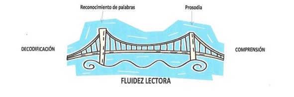 Fuente: Calero, Andrés.  Fluidez Lectora y Evaluación Formativa Investigaciones sobre Lectura, núm. 1, 2014, pp. 33-48 Asociación Española de Comprensión Lectora Málaga, España. 