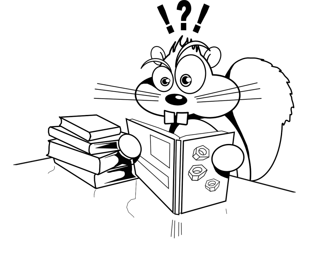 squirrel, reading, books